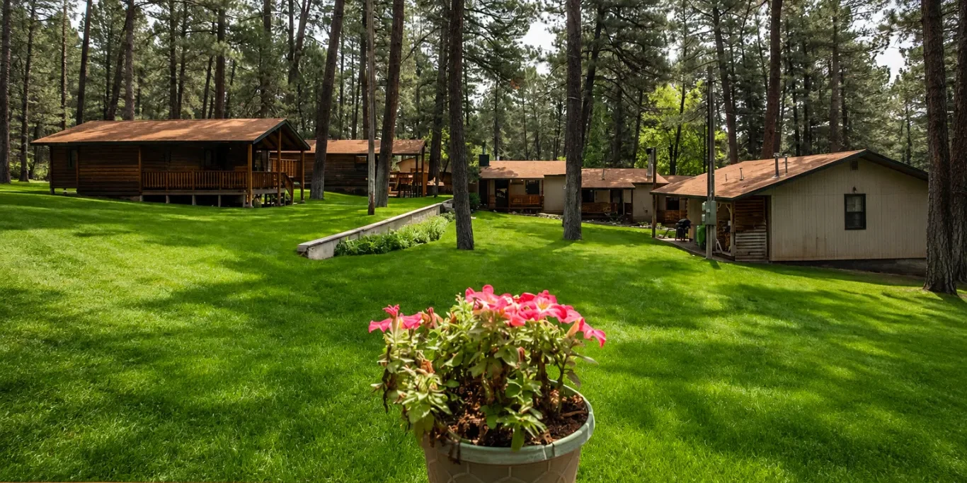Forest Homes Grounds Ruidoso New Mexico